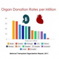 ¿Qué países tienen la mayor proporción de donación de órganos?  [Eng]
