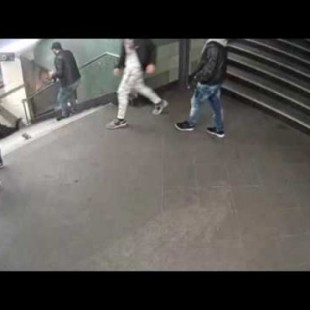 Indentifican agresor de la chica del metro de Berlín -FRA-