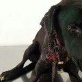 Detenido en Ciudad Real por quemar a su perra con productos químicos e intentar ahorcarla