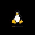 ¿Necesita Linux más Tux? Esta aplicación cree que sí [ENG]