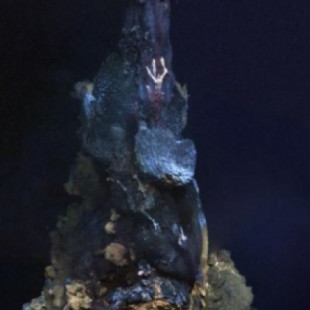 Nuevas especies animales descubiertas en torno a fumarolas hidrotermales del fondo del mar