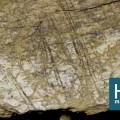 Hallazgo arqueológico sitúa a los humanos en América del Norte 10.000 años antes de lo que se pensaba [eng]