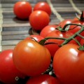 Los científicos tienen un plan para que los tomates recuperen por fin su sabor