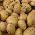 ¿Por qué ha subido el precio de las patatas en España?