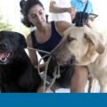 Entra en vigor en Madrid la ley que prohíbe sacrificar mascotas abandonadas
