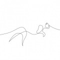 El poder de la línea: dibujos de animales hechos con un solo trazo