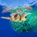 World Press Photo premia al español que retrató el impacto humano sobre el medio marino