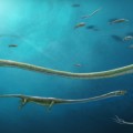 Descubren el fósil de un reptil de hace 245 millones de años que paría sus crías como los mamíferos