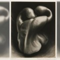 Edward Weston y sus fotografías de pimientos