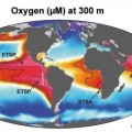 Se descubre un enorme estanque de metano en el Océano Pacífico