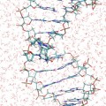 Simulaciones computacionales para ver reacciones fotoquímicas en el ADN