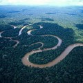Un estudio revela que los pueblos indígenas fueron los que formaron el Amazonas
