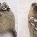 La foca y su peluche que han revolucionado las redes sociales