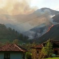 Mismo dia que se declaran 60 incendios PP, PSOE e IU modifican la Ley  para permitir pastoreo en zonas quemadas