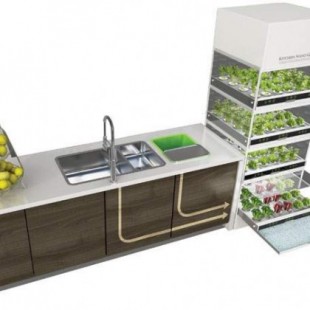 El sistema hidropónico de Ikea le permite cultivar verduras durante todo el año sin tener un jardín (Eng)