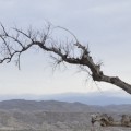 El 80% de España, en riesgo de convertirse en desierto este siglo por el cambio climático