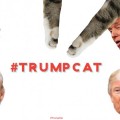 Trump amenaza con tomar acción legales contra un chica de 17 años por hacer una web de gatos [ENG]