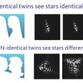 Los gemelos idénticos ven estrellas idénticas