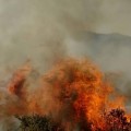 Asturias arde, y sabemos quiénes son los culpables