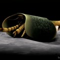 Paleontólogos identifican a una nueva criatura marina de 507 millones de años con tenazas tipo abrelatas (ENG)