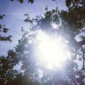 Estornudos solares: ¿Por qué a algunas personas el sol las hace estornudar?