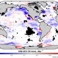 Décadas de datos revelan el declive acelerado del oxígeno en los océanos (ING)