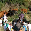 Las fiestas más crueles de España