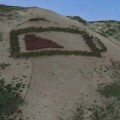 Cómo transformar una montaña en una obra de arte con 5.000 árboles