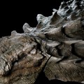 El increíble dinosaurio encontrado por mineros en Canadá [eng]