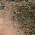 Descubren pinturas rupestres en la cueva de Aitzbitarte (Guipúzcoa)
