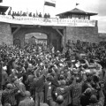 Mauthausen, el campo de los españoles