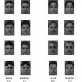 Reconstruciones casi perfectas de rostros humanos a partir de la lectura de ondas cerebrales [EN]