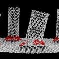 Prototipo de batería de litio metálico con grafeno y nanotubos de carbono que triplican la capacidad de las de ión-litio