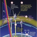 ¿Agujero de la capa de ozono en curso sobre Estados Unidos?