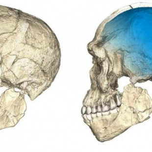 Descubren los fósiles de 'Homo sapiens' más antiguos, de hace 300.000 años