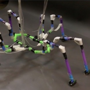 Robots construidos con pajitas e inspirados en artrópodos, insectos y arañas (ING)