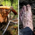 Búsqueda ilegal de cuernos de mamuts en Siberia: Como se hacen ricos, se emborrachan y casi mueren