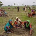 India bate un récord mundial: planta 50 millones de árboles en un día