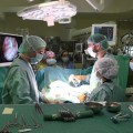 Siete quirófanos del Gregorio Marañón cierran por una plaga de cucarachas
