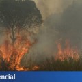 Amenaza a un tesoro medioambiental: esto es lo que el fuego está quemando en Doñana