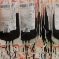La Comunidad de Madrid oculta cuánto se ha pagado en total a Cruz Roja por las bolsas de sangre