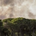 Doñana: El problema no es el fuego, es el agua