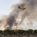 Bocadillos y bebidas solidarias para los bomberos que luchaban contra el fuego de Doñana