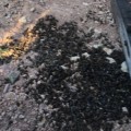 Medio millar de colmenas son envenenadas en sólo dos meses en España por culpa de grupos vandálicos