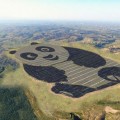 Inaugurada en China una granja solar en forma de Panda