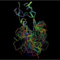 Constatan en ratones que la hormona precursora de la insulina protege frente al deterioro cognitivo