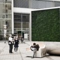 CityTree, el panel de musgo que absorbe la contaminación como si fuese 275 árboles