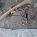 Hallada una necrópolis prehistórica en los Monegros,  en el yacimiento de Sena