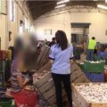 Hallan a 59 inmigrantes en Cuenca en condiciones infrahumanas trabajando en la campaña del ajo