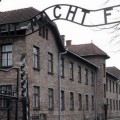 Estudiante israelí  roba objetos de Auschwitz: "Sentí que era algo que tenía que hacer"